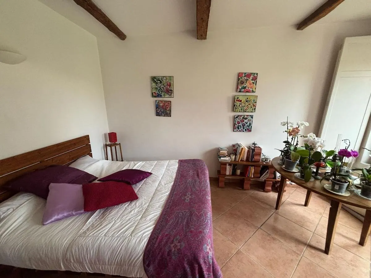 Belle Maison De Village Baziege Feriehus